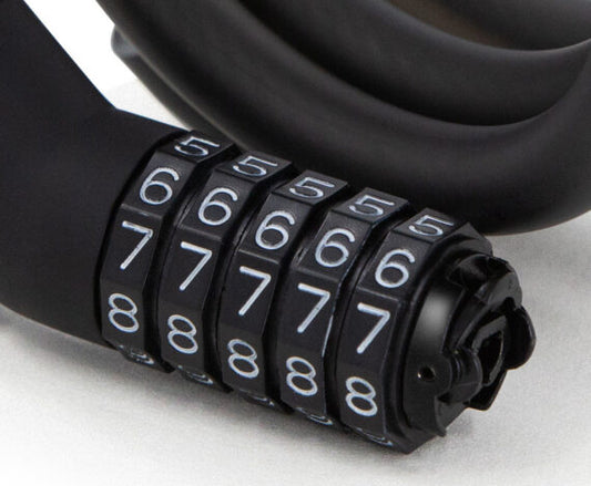 Ninebot Password Lock